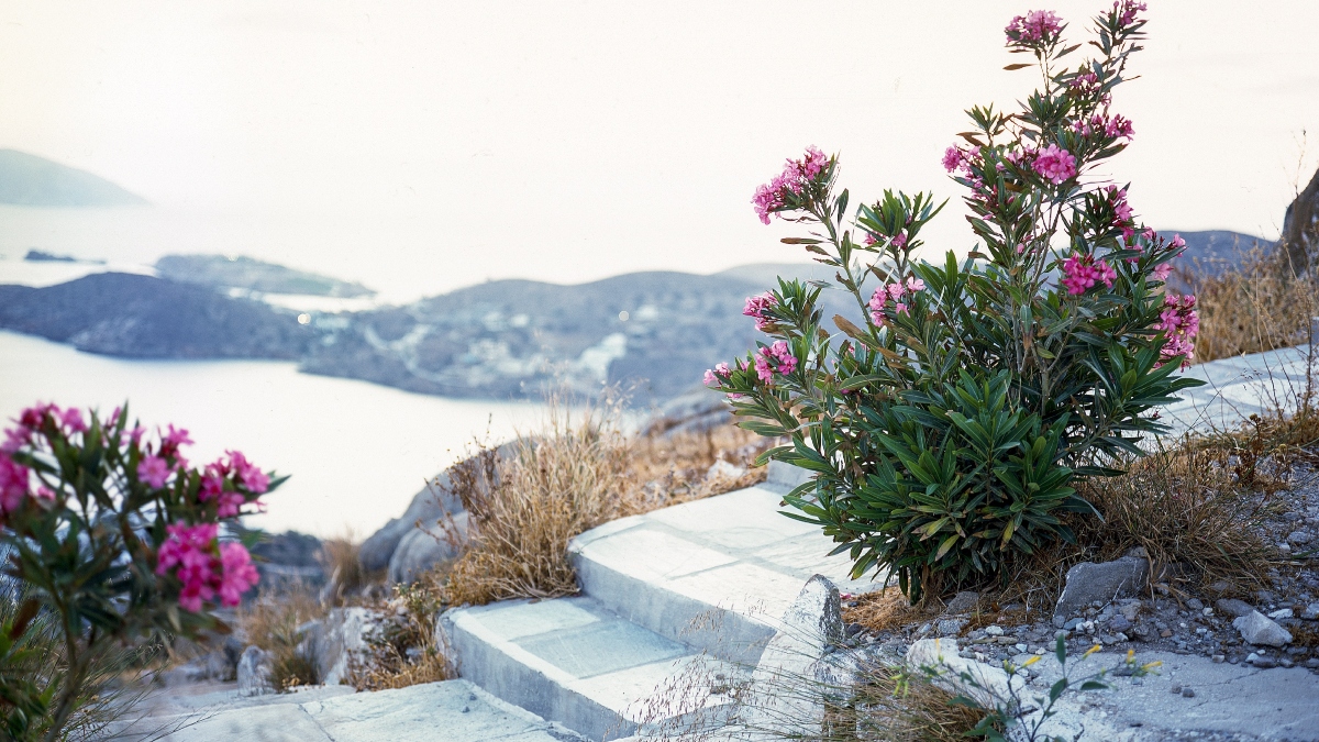 Ίος: Πολυδιάστατος προορισμός που εκσυγχρονίζει τις υποδομές του