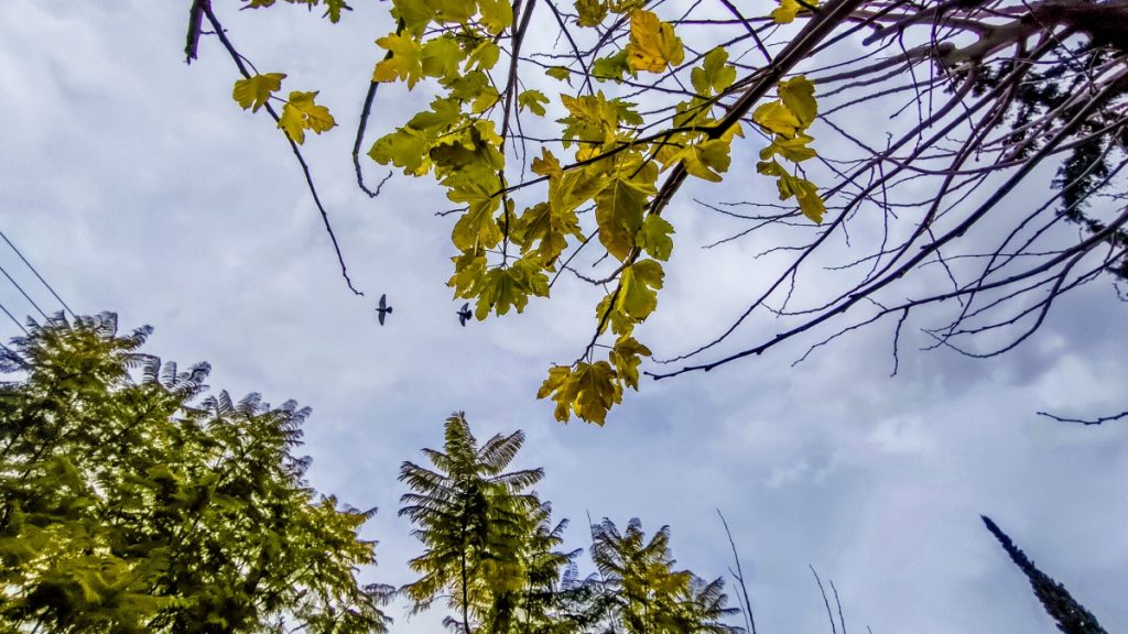 Άστατος ο καιρός σήμερα – Πού θα εκδηλωθούν βροχές, ανεβαίνει η θερμοκρασία