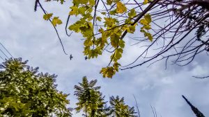 Άστατος ο καιρός σήμερα – Πού θα εκδηλωθούν βροχές, ανεβαίνει η θερμοκρασία