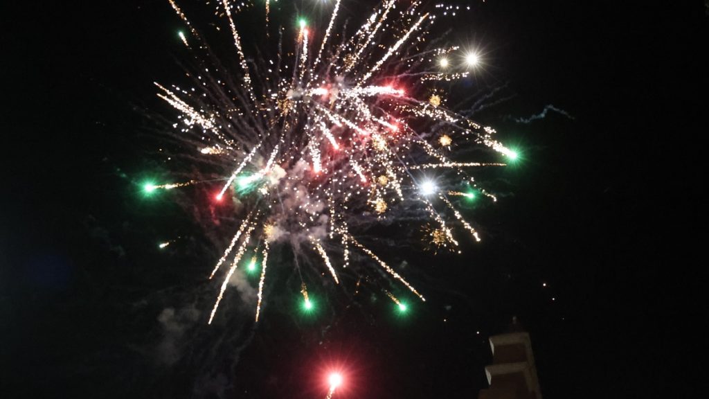 ΝΕΜΕΣΙΣ: Να μπει τέλος στα πυροτεχνήματα και τα ιπτάμενα φαναράκια που “τραυματίζουν” ζώα και περιβάλλον