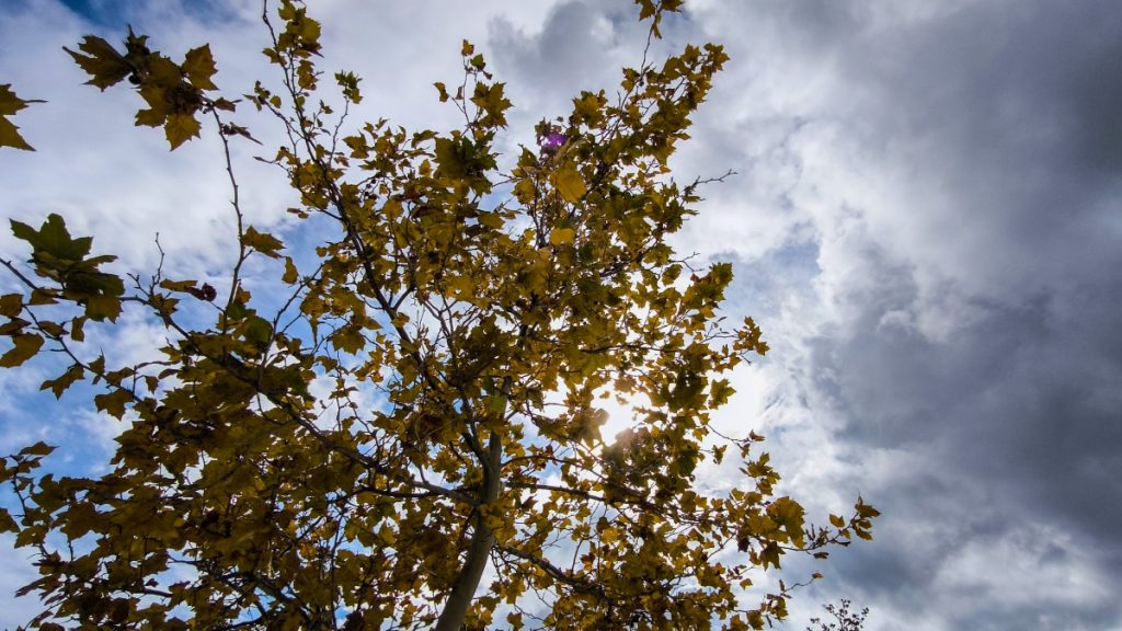 Καιρός σήμερα: Συννεφιά και μικρή άνοδος της θερμοκρασίας – Πού θα βρέξει