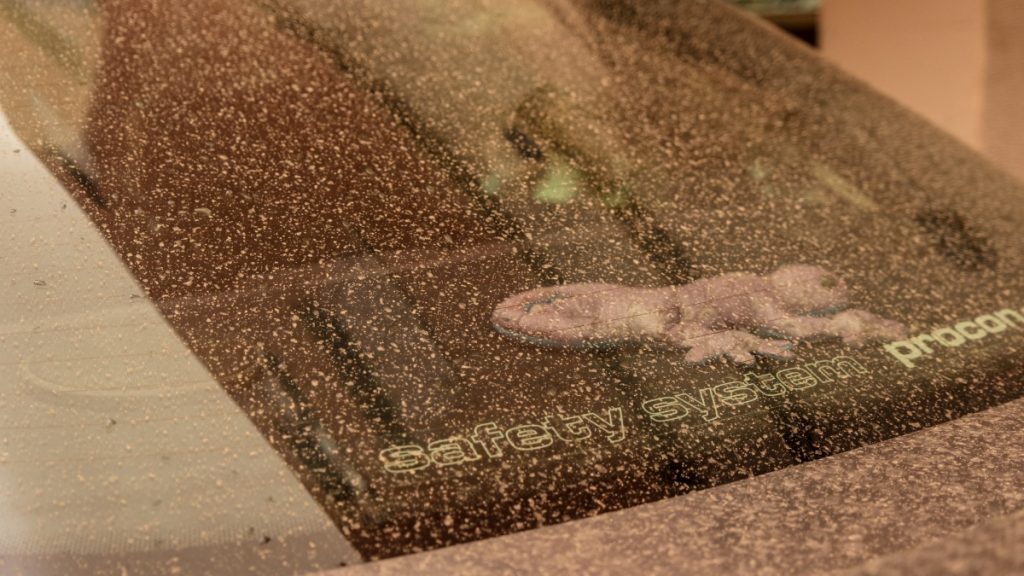 Καιρός: Λασποβροχές και 25άρια έως και την Πέμπτη – Οι προγνώσεις Κολυδά και Τσατραφύλλια