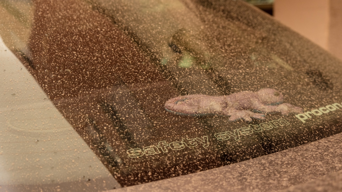 Καιρός: Λασποβροχές και 25άρια έως και την Πέμπτη – Οι προγνώσεις Κολυδά και Τσατραφύλλια