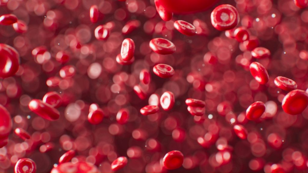 Παγκόσμια Ημέρα αιμορροφιλίας: Τι είναι, τα συμπτώματα και οι κίνδυνοι