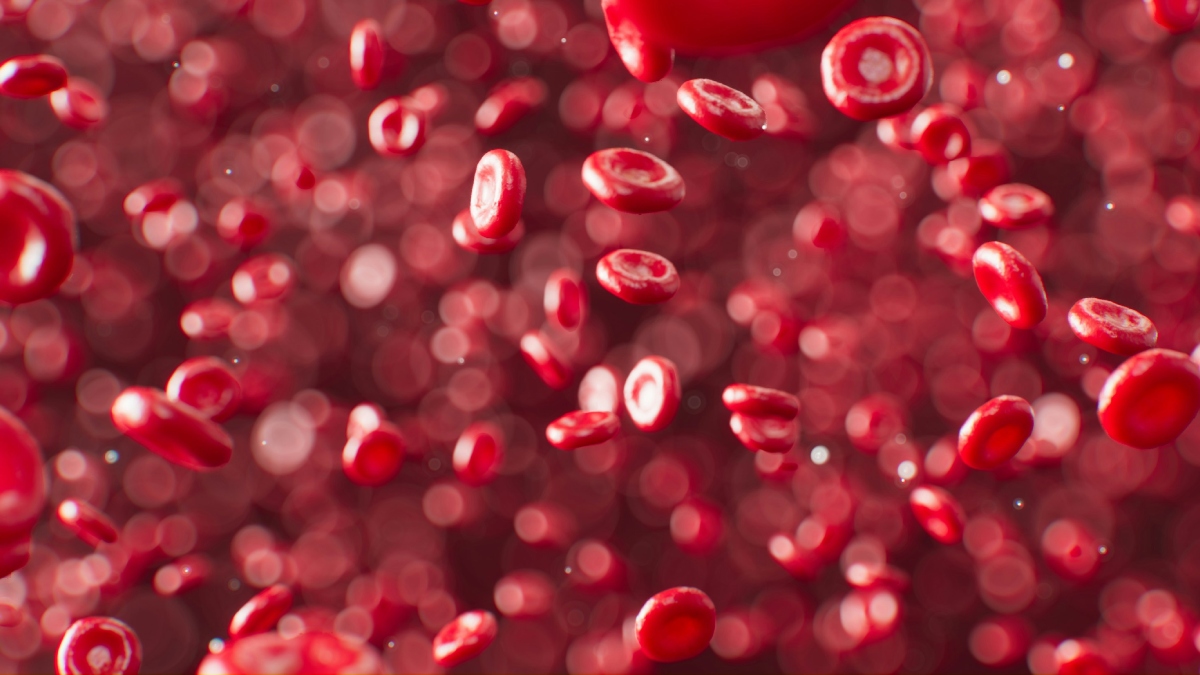 Παγκόσμια Ημέρα αιμορροφιλίας: Τι είναι, τα συμπτώματα και οι κίνδυνοι