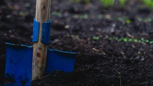 Θεσσαλονίκη: Απατεώνες “ξέθαψαν” 100.000 ευρώ από κήπο ηλικιωμένης με το κόλπο του “λογιστή”