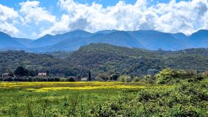 Αίθριος ο καιρός σήμερα με ήλιο και λίγη συννεφιά – Πού θα βρέξει