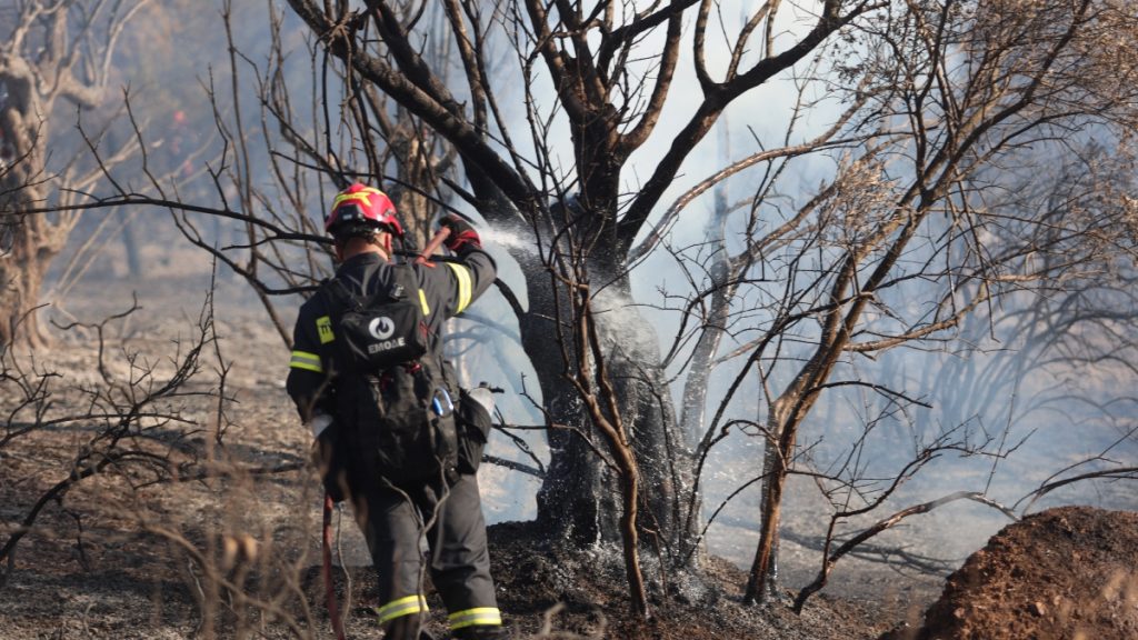 Πήλιο: Συνελήφθη 59χρονος για τη φωτιά στο Νεοχώρι – Έκαιγε κλαδιά σε αγροτική έκταση