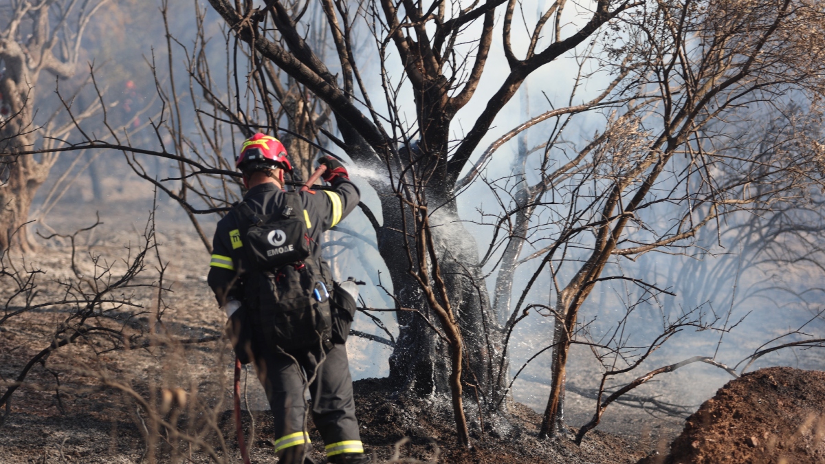 Πήλιο: Συνελήφθη 59χρονος για τη φωτιά στο Νεοχώρι – Του επιβλήθηκε πρόστιμο 2.925 ευρώ
