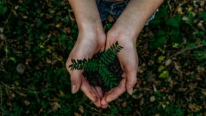 Ημέρα της Γης: 5 πράγματα που μπορείς να κάνεις σήμερα για να βοηθήσεις τον πλανήτη