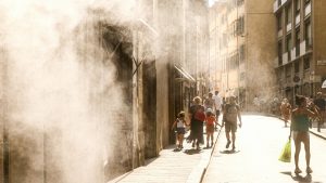 Καύσωνας και νεφροί: Τι αποκαλύπτει νέα επιστημονική μελέτη