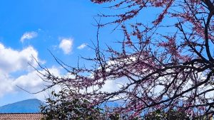 Καιρός σήμερα: Ηλιοφάνεια με λίγη συννεφιά – Σε ποιες περιοχές θα βρέξει