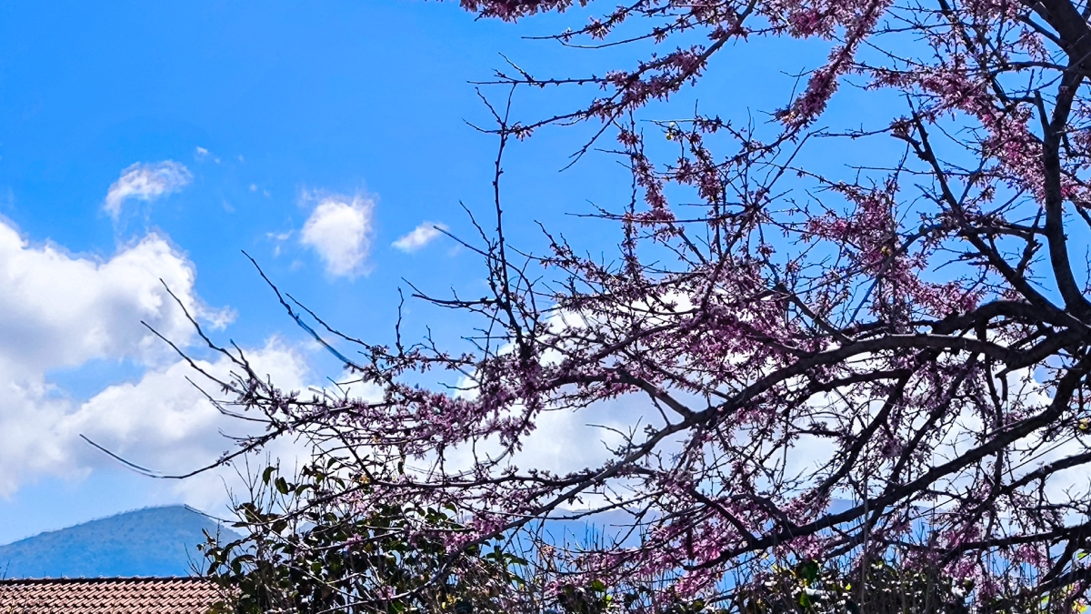 Καιρός σήμερα: Ηλιοφάνεια με λίγη συννεφιά – Σε ποιες περιοχές θα βρέξει