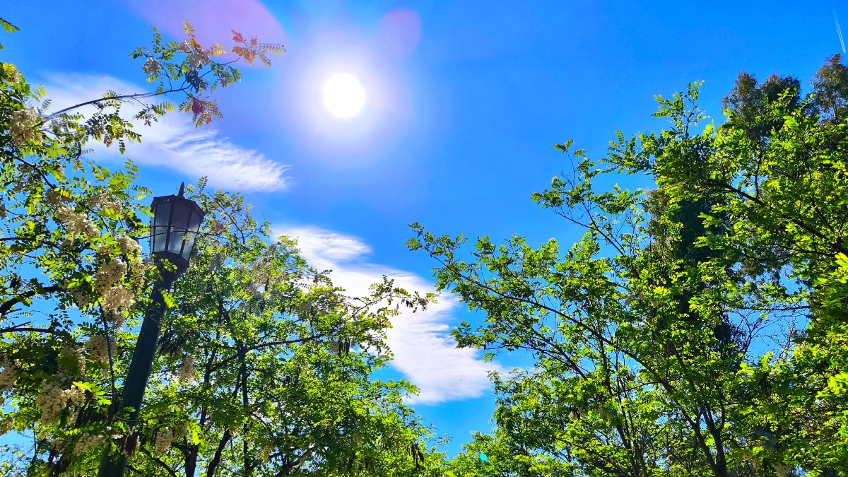 Ηλιόλουστος ο καιρός σήμερα – Τοπικές βροχές στα ηπειρωτικά ορεινά