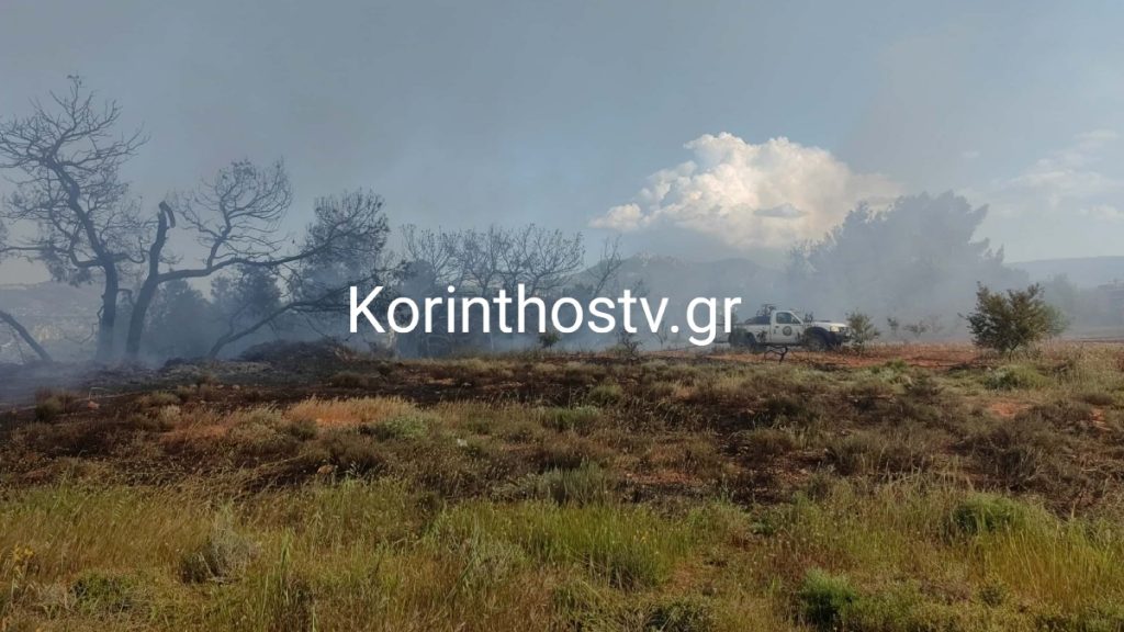 Φωτιά τώρα στο Ζευγολατιό Κορινθίας – Στη μάχη 50 πυροσβέστες