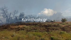 Φωτιά τώρα στο Ζευγολατιό Κορινθίας – Στη μάχη 50 πυροσβέστες