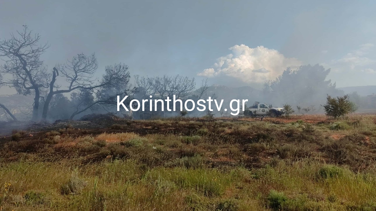 Οριοθετήθηκε η φωτιά στο Ζευγολατιό Κορινθίας (Εικόνες & Βίντεο)