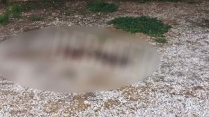 Άγιος Δημήτριος: Εδώ βρέθηκε νεκρός ο 25χρονος – “Ξεσκονίζουν” το κινητό του για να βρουν τα κίνητρα της δολοφονίας