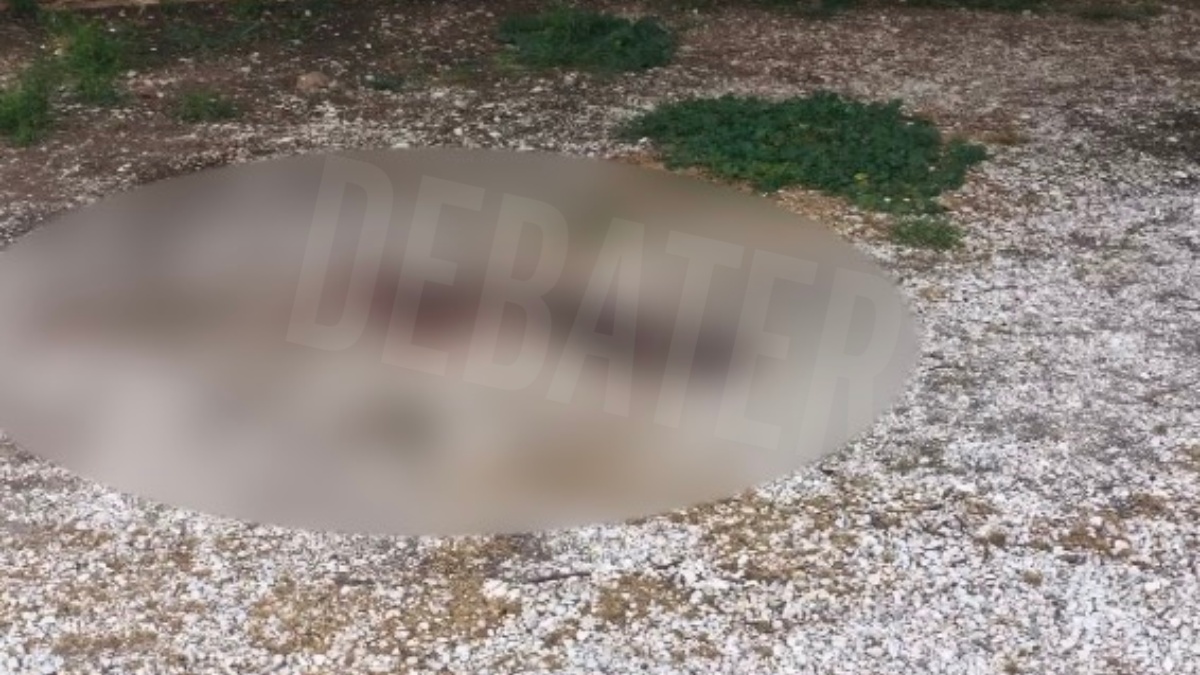 Άγιος Δημήτριος: Εδώ βρέθηκε νεκρός ο 25χρονος – “Ξεσκονίζουν” το κινητό του για να βρουν τα κίνητρα της δολοφονίας