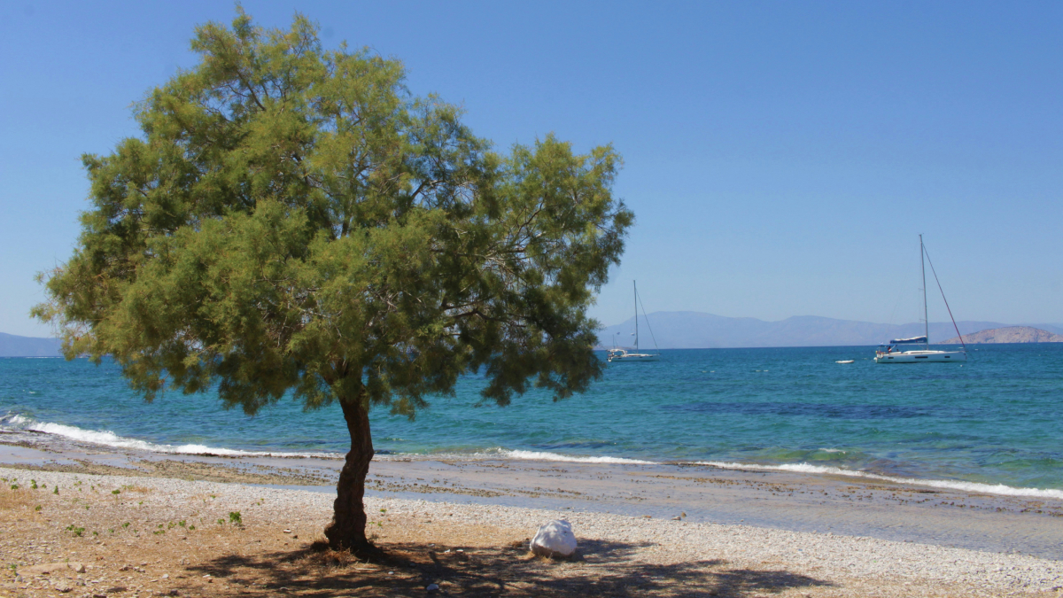 Μόλις 1 ώρα από την Αθήνα: Επίγειος παράδεισος που αξίζει να τον επισκεφθείτε – Ιδανικός για ένα ΣΚ