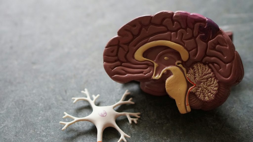 Πώς θα προλάβουμε την άνοια