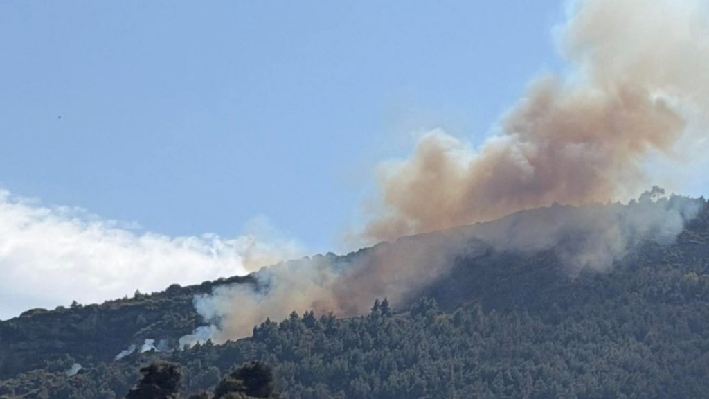 Φωτιά σε δασική έκταση στην Άμπελο Αχαΐας