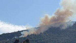 Φωτιά σε δασική έκταση στην Άμπελο Αχαΐας – Επιχειρεί ένα αεροσκάφος