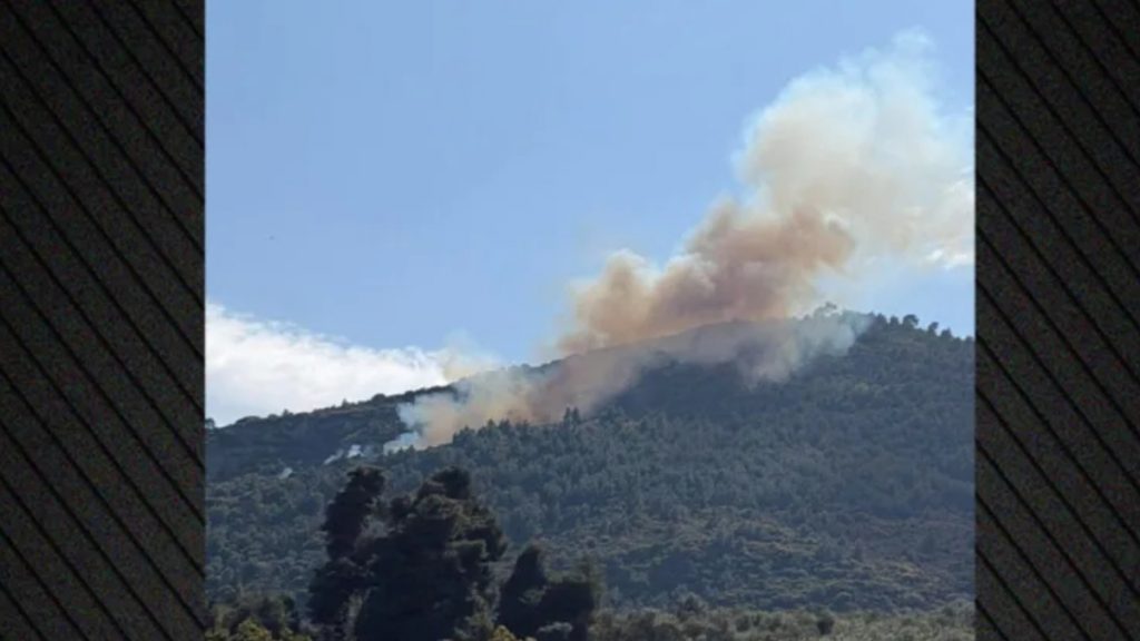 Φωτιά σε δασική έκταση στην Άμπελο Αχαΐας