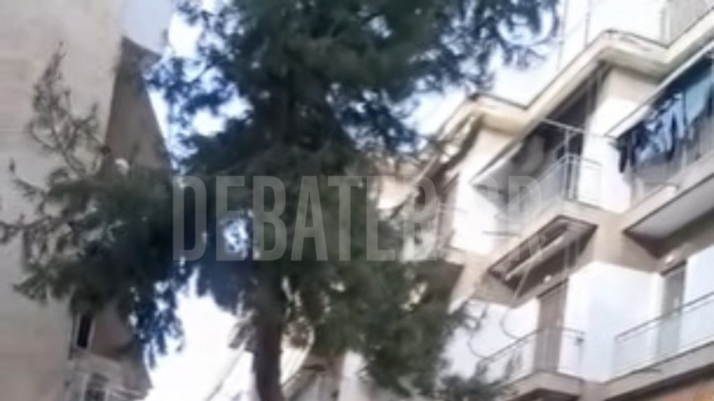 Περιστέρι: Δέντρο έχει πάρει επικίνδυνη κλίση – Καταγγελία στο DEBATER (βίντεο)