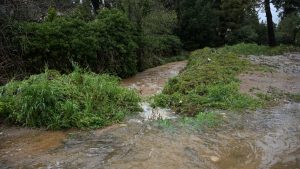 Σοβαρές ζημιές αλλά και απεγκλωβισμοί από οχήματα στον Δήμο Διονύσου