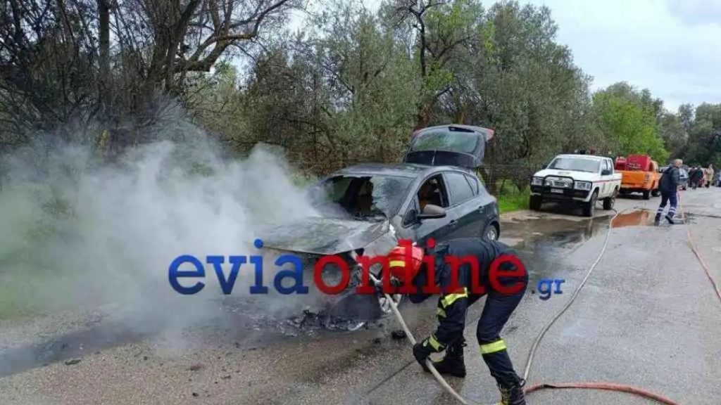 Εύβοια: Φωτιά ξέσπασε σε αυτοκίνητο εν κινήσει – Από θαύμα σώθηκε μία οικογένεια (εικόνες)