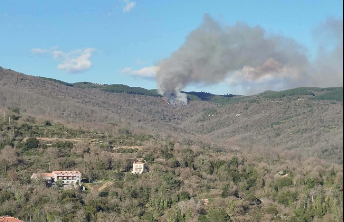 Φωτιά σε δασική έκταση στις Καρυές Λακωνίας