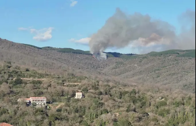 Φωτιά σε δασική έκταση στις Καρυές Λακωνίας