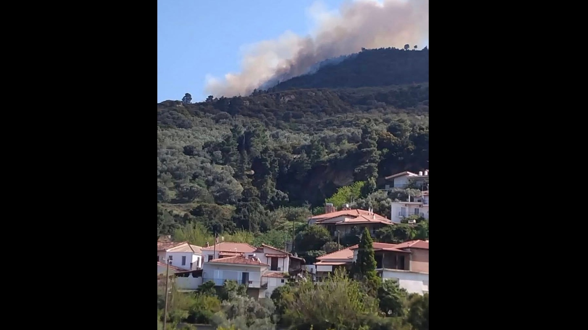 Φωτιά στην Άμπελο Αχαΐας: Συνελήφθη ένας 51χρονος για την πυρκαγιά