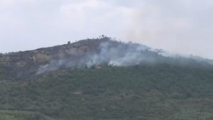 Αχαΐα: Καλύτερη η εικόνα της φωτιάς στην Άμπελο – Επιχειρούν πάνω από 60 πυροσβέστες