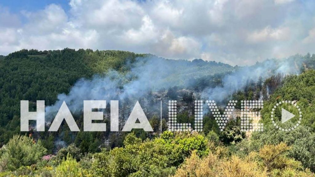 Φωτιά στο Λέπρεο Ηλείας – Επιχειρούν πάνω από 50 πυροσβέστες, σηκώθηκε και αεροσκάφος