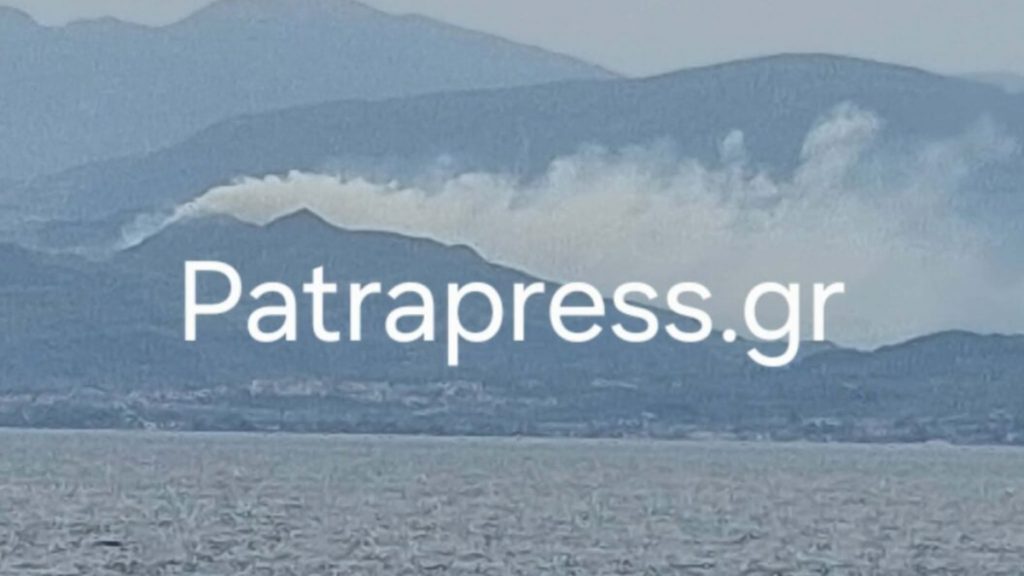 Φωτιά σε αγροτοδασική περιοχή του Δήμου Αιγιαλείας κοντά στα Σελιανίτικα