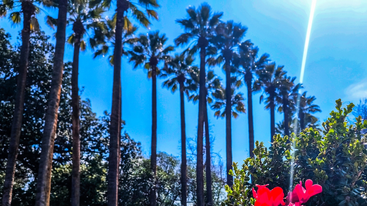 Καιρός: Μικρή πτώση της θερμοκρασίας το Μεγάλο Σάββατο – Πώς θα σουβλίσουμε τον οβελία