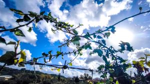 Καιρός: Τελειώνει η σκόνη το Σαββατοκύριακο  και ανεβαίνει η θερμοκρασία – Πότε χαλάει ξανά