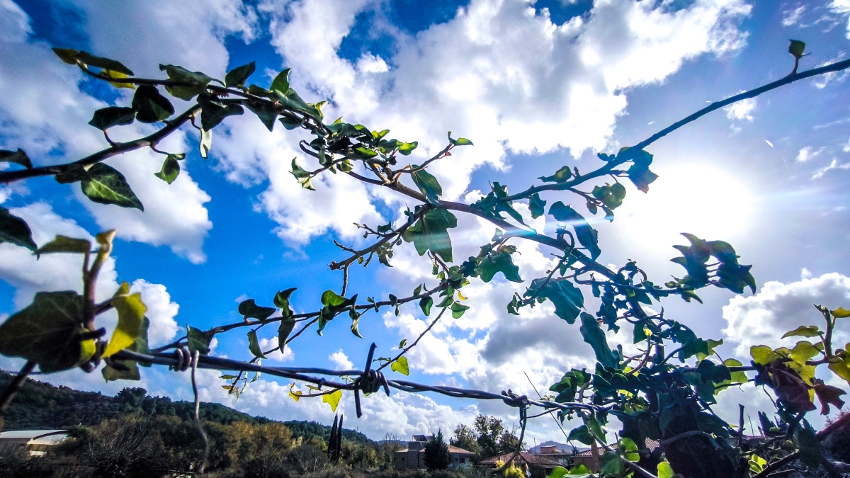 Καιρός: Τελειώνει η σκόνη το Σαββατοκύριακο  και ανεβαίνει η θερμοκρασία – Πότε χαλάει ξανά