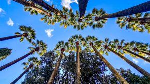 Με δύο πρόσωπα ο καιρός τη Μεγάλη Εβδομάδα: Σκαμπανεβάσματα στη θερμοκρασία, αναλυτική πρόγνωση μέρα – μέρα