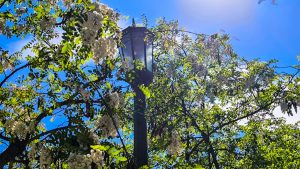 Έρχεται “μίνι” κακοκαιρία με βροχές και πτώση της θερμοκρασίας – Τι καιρό θα κάνει την Πρωτομαγιά