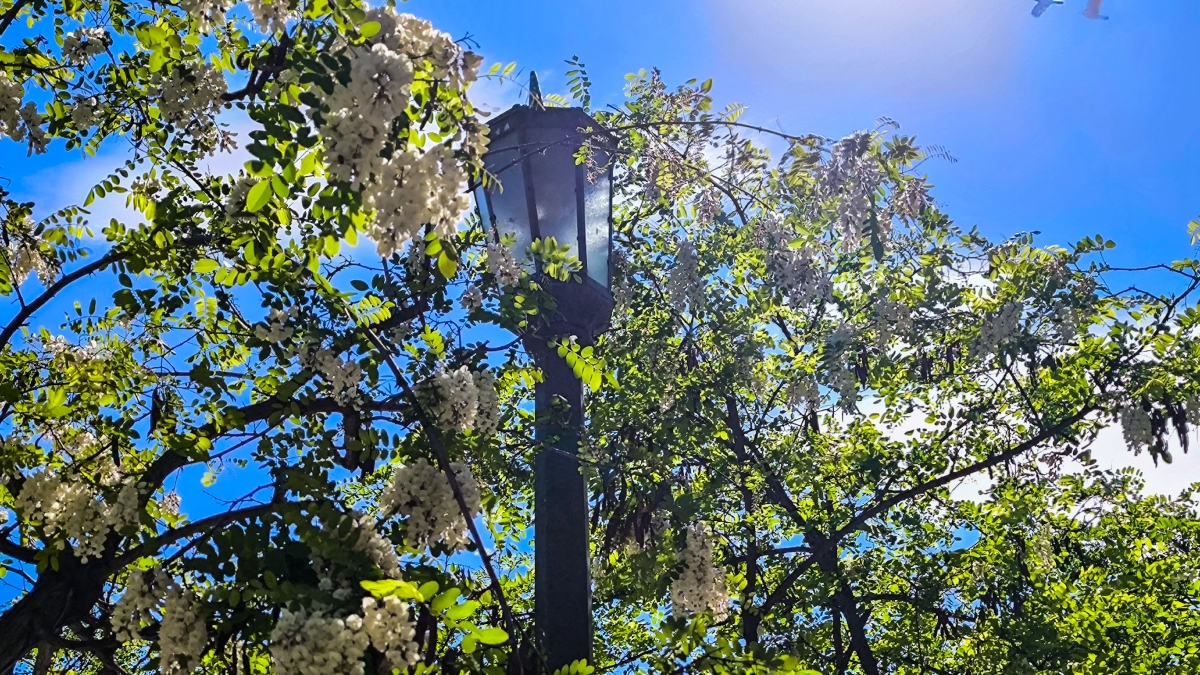 Έρχεται “μίνι” κακοκαιρία με βροχές και πτώση της θερμοκρασίας – Τι καιρό θα κάνει την Πρωτομαγιά