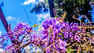 Καιρός: Ήλιος και ζέστη στο σούβλισμα του οβελία – Με μποφόρ θα επιστρέψουν οι εκδρομείς την Δευτέρα του Πάσχα, η ανάρτηση Κολυδά