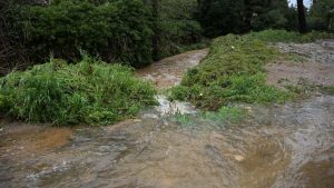 Κακοκαιρία ERMINIO: Αυτοψία του Κώστα Κατσαφάδου σε περιοχές που επλήγησαν