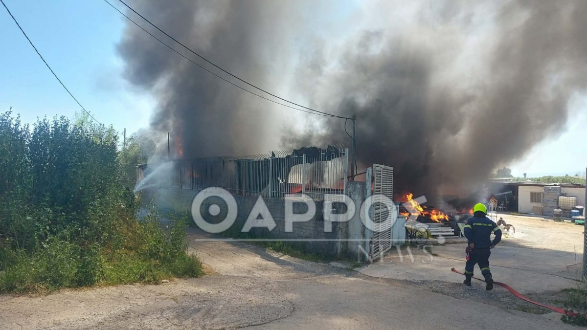 Καλαμάτα: Φωτιά σε επιχείρηση οικοδομικών υλικών και πλαστικών – Διακόπηκε η κυκλοφορία (εικόνες)