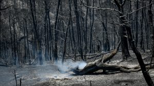 ΚΥΑ για πυροπροστασία: Υποχρεωτικός καθαρισμός οικοπέδων ενόψει αντιπυρικής περιόδου