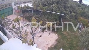 Η στιγμή που τα 5,7 Ρίχτερ χτυπούν το Λασίθι – “Τα καρότσια έτρεμαν και για περίπου 30-40 δευτερόλεπτα”