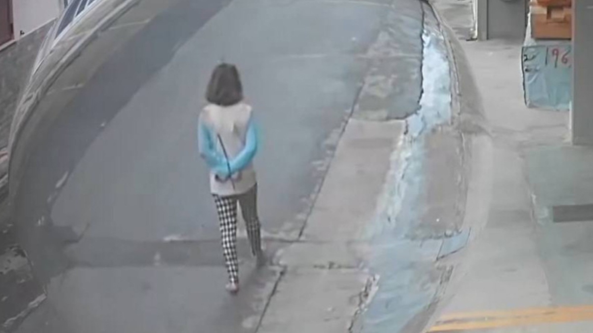 Λακωνία: Θρίλερ με γυναίκα που περπατά ξυπόλητη και δεμένη πισθάγκωνα (Βίντεο Ντοκουμέντο)