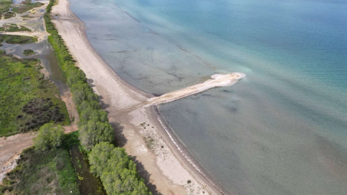 Ωρωπός: Άνοιξαν παράνομο «δρόμο» με μπάζα μέσα σε προστατευόμενη ζώνη Natura (Εικόνες)